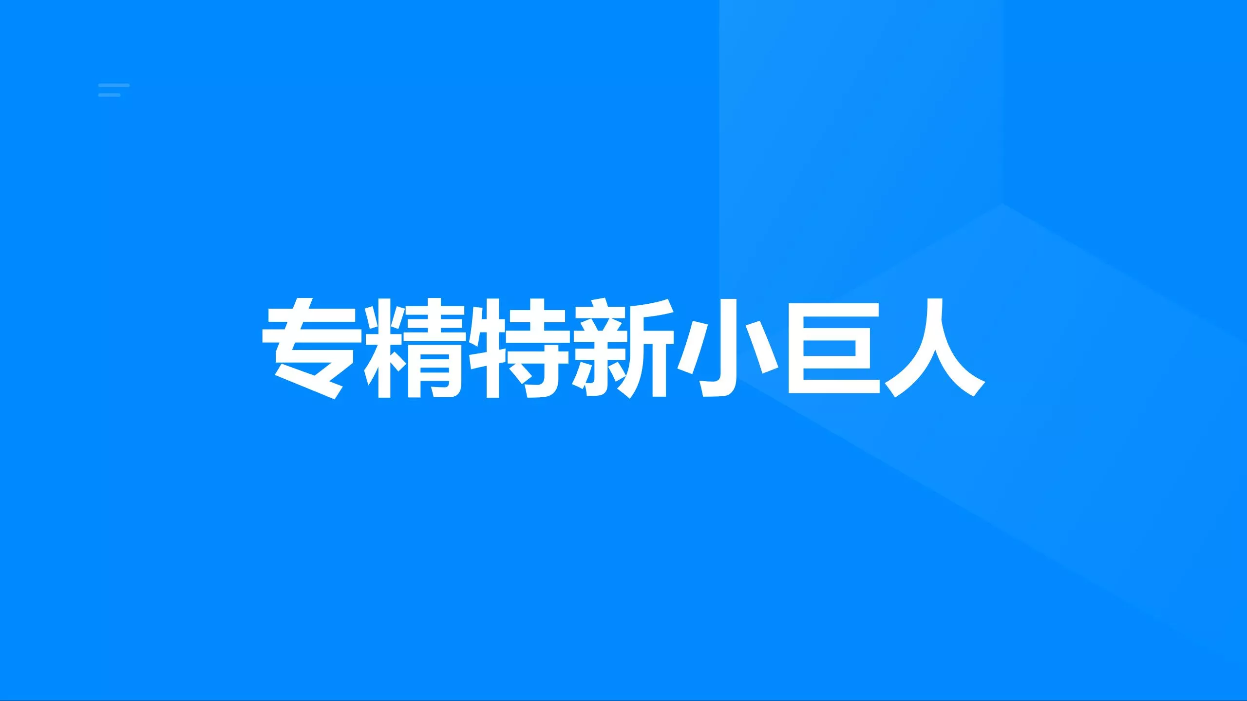 专精特新小巨人申报